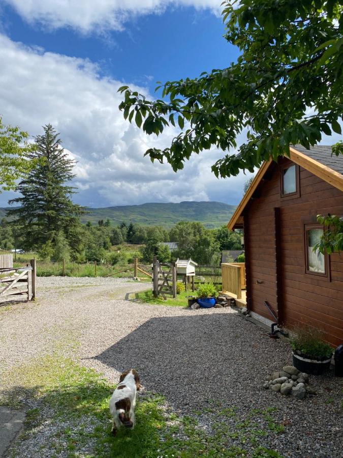 Hill cottage cabins Fort Augustus Exteriör bild